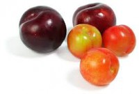 Prune - 500g