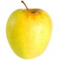 Golden - au kg